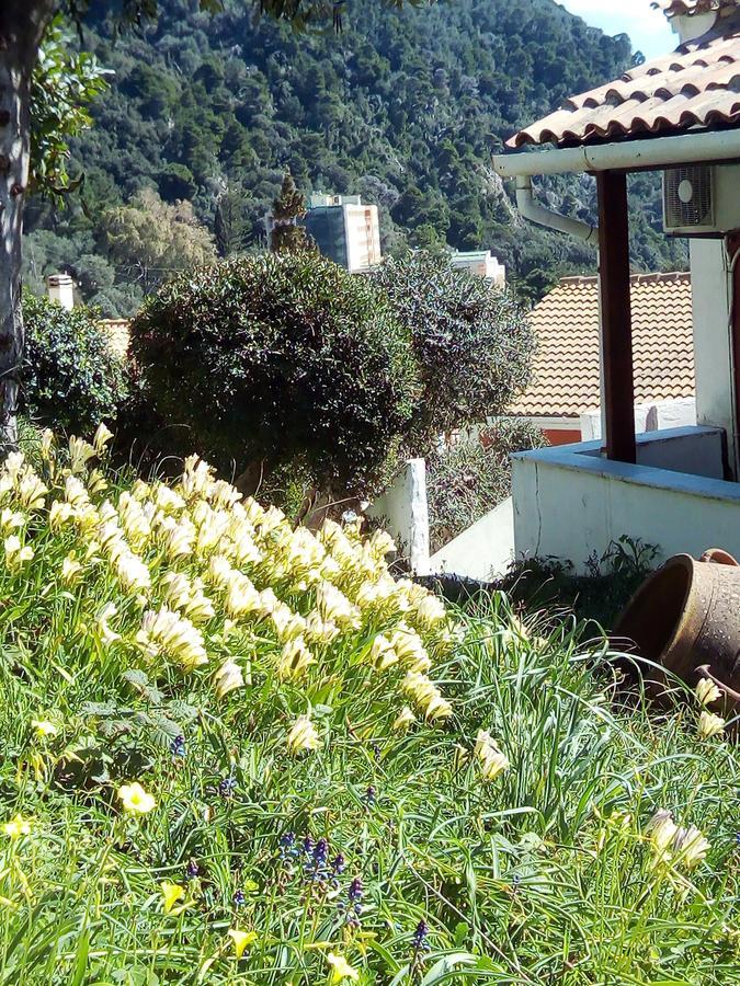 Adriatic View Villa 格利法达 外观 照片